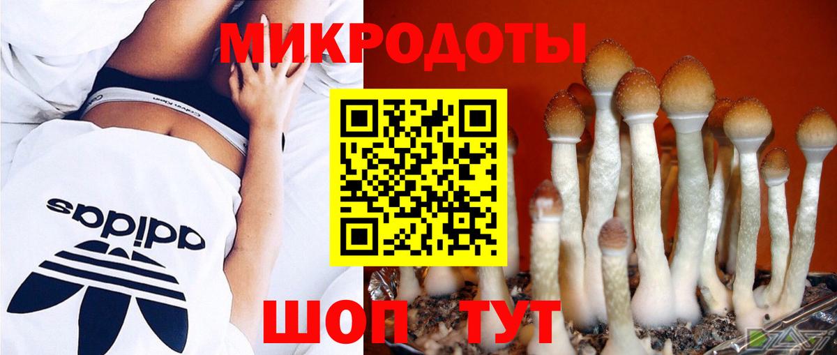 Псилоцибиновые грибы мицелий Борзя