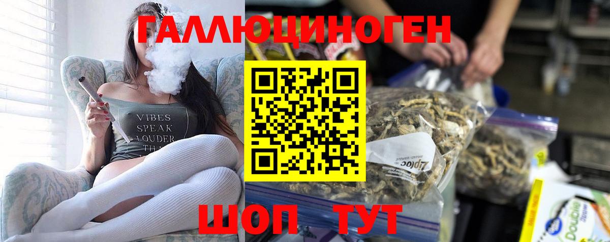 Борзя  Псилоцибиновые грибы GOLDEN TEACHER  Псилоцибиновые грибы ЛСД  Вход с VPN 
