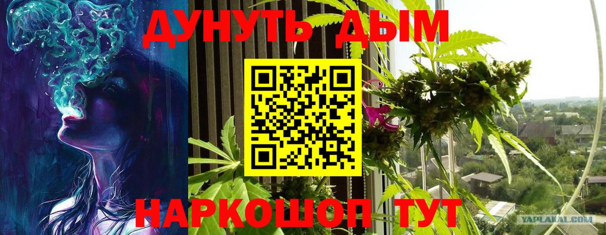 МАРИХУАНА сатива Борзя